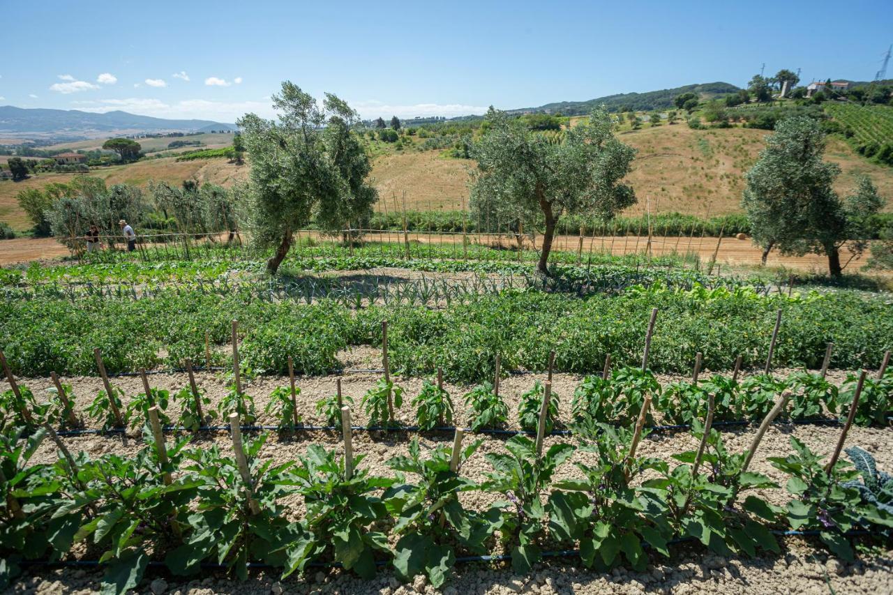 Agriturismo Cappellese Castelnuovo della Misericordia Екстериор снимка