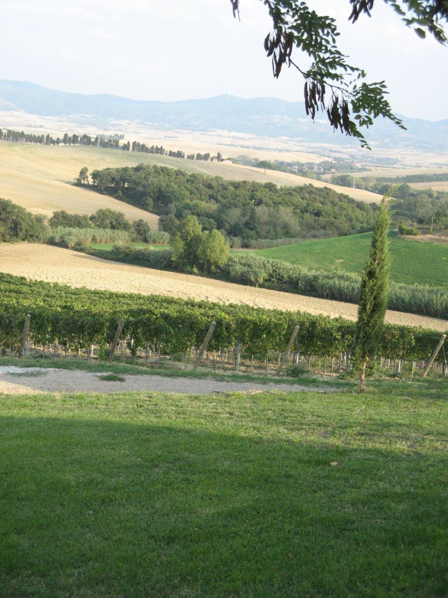 Agriturismo Cappellese Castelnuovo della Misericordia Екстериор снимка